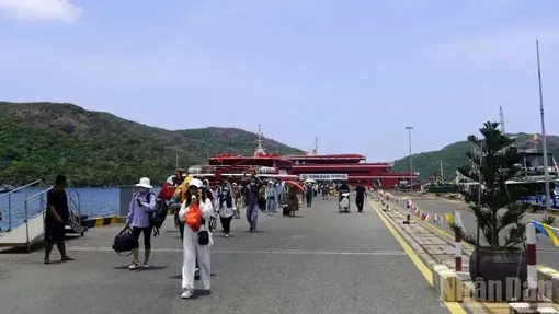 Cảnh báo lừa đảo đặt phòng giá rẻ ở Côn Đảo