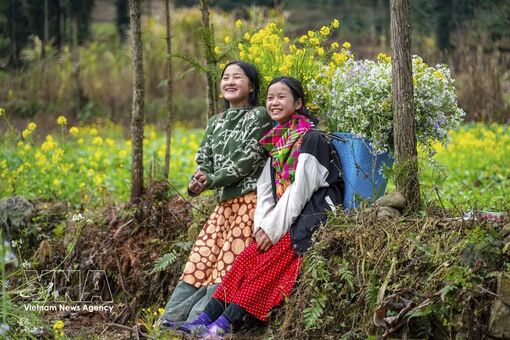 Media plays pivotal role in promoting Vietnam’s tourism growth, global image