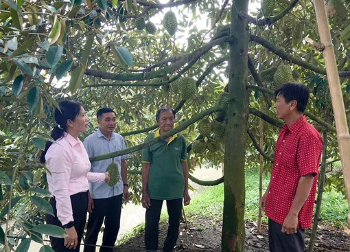 រួម​ចំ​ណែក​រក្សា​សមរ​ភូមិ​សតិ​អា​រម្មណ៍​
