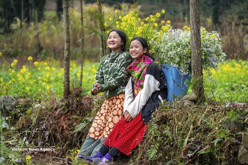 Media plays pivotal role in promoting Vietnam’s tourism growth, global image