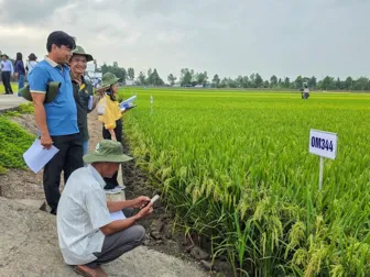 Cắt giảm điều kiện kinh doanh, đơn giản hóa nhiều thủ tục hành chính trong lĩnh vực trồng trọt, bảo vệ và kiểm dịch thực vật