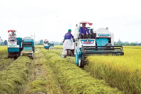 Bảo hiểm rủi ro trước biến đổi khí hậu cho ngành Nông nghiệp