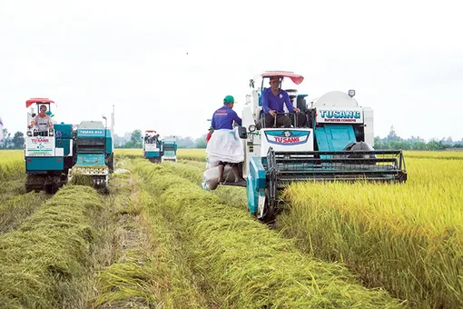 Bảo hiểm rủi ro trước biến đổi khí hậu cho ngành Nông nghiệp