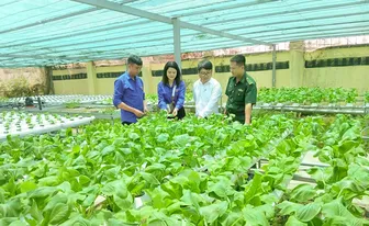 Màu xanh giữa vùng... đất khó