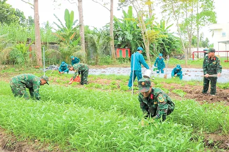 Lực lượng vũ trang TP Cần Thơ thực hiện tốt công tác hậu cần - kỹ thuật
