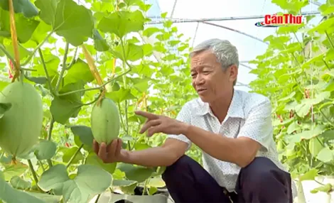 “Thích ứng biến đổi khí hậu” - Góc nhìn từ thực tiễn địa phương