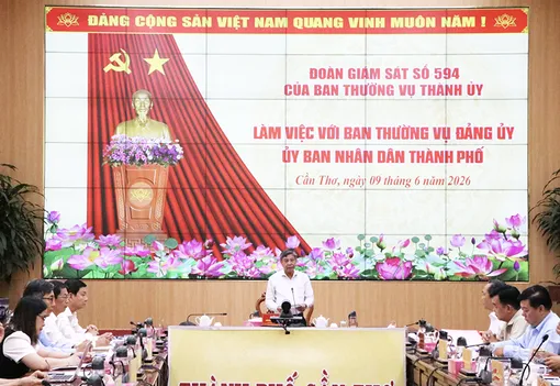 Tập trung lãnh đạo, chỉ đạo, rà soát, hướng dẫn cơ chế phối hợp để vận hành hiệu quả mô hình chính quyền địa phương 2 cấp
