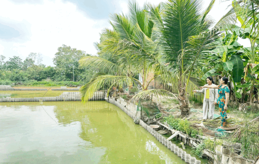 ប្រ​សិទ្ធ​ភាព​ផ្តើម​ពី​ទម្រង់​ចិញ្ចឹម​កន្ធាយ​របស់​សមា​ជិកា