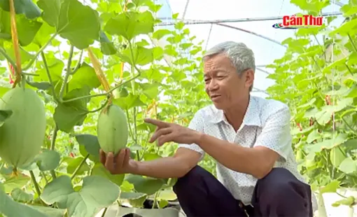 “Thích ứng biến đổi khí hậu” - Góc nhìn từ thực tiễn địa phương