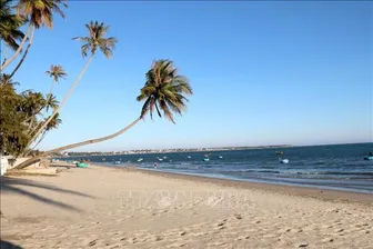 Mũi Né khẳng định vị thế điểm đến lướt ván diều hàng đầu châu Á