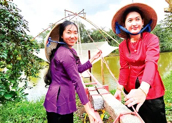 Chuyển đổi tư duy phát triển kinh tế nông nghiệp Chuyển đổi tư duy phát triển kinh tế nông nghiệp