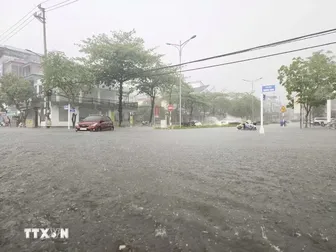 Thời tiết ngày 12/6: Cao nguyên Trung Bộ và Nam Bộ tiếp diễn mưa lớn cục bộ