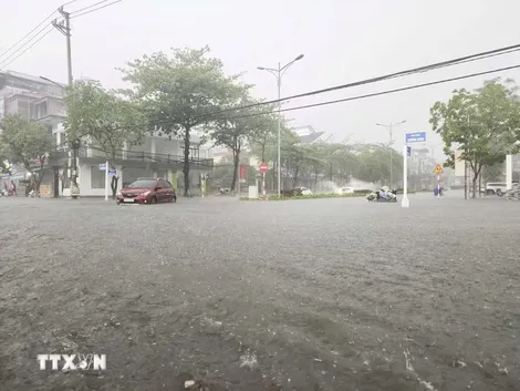Thời tiết ngày 12/6: Cao nguyên Trung Bộ và Nam Bộ tiếp diễn mưa lớn cục bộ
