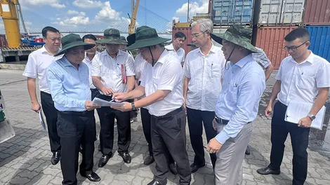 Lãnh đạo thành phố khảo sát, tháo gỡ vướng mắc trong quản lý đất bãi bồi tại phường Thốt Nốt, phường Tân Lộc