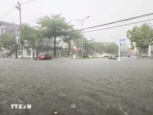Thời tiết ngày 12/6: Cao nguyên Trung Bộ và Nam Bộ tiếp diễn mưa lớn cục bộ