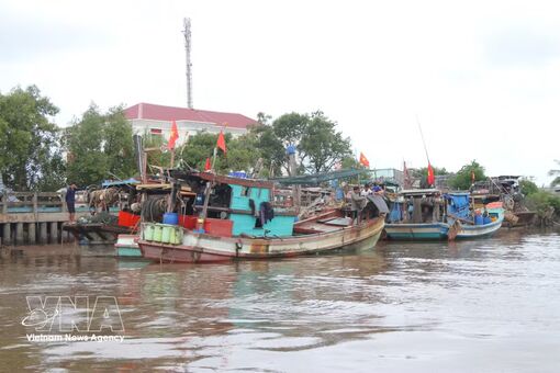 Ca Mau province tightens fishing vessel controls to combat IUU fishing