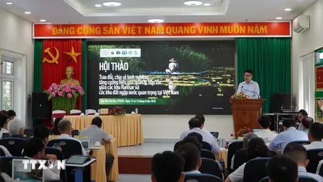 Xây dựng mạng lưới bảo tồn các khu Ramsar trên toàn quốc