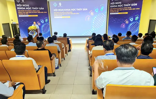 Giải pháp kỹ thuật và công nghệ nâng cao hiệu quả nuôi và phát triển bền vững ngành cá tra