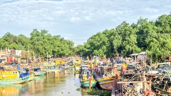Tăng cường quản lý, chống khai thác hải sản bất hợp pháp, không báo cáo, không theo quy định