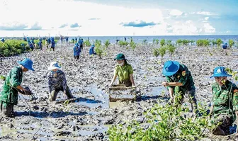 Tăng cường trồng cây xanh bảo vệ môi trường, chống sạt lở