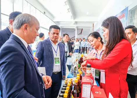 Thúc đẩy giao thương biên giới Việt Nam - Campuchia - Lào