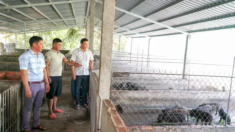 Chi bộ ấp Văn Sáu lãnh đạo nâng cao đời sống nhân dân