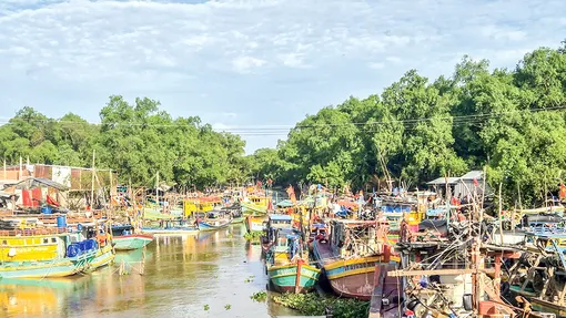 Tăng cường quản lý, chống khai thác hải sản bất hợp pháp, không báo cáo, không theo quy định
