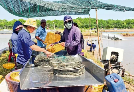Dạo quanh thị trường ngày 17-6