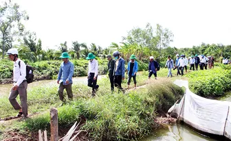 Quản lý chặt đất công