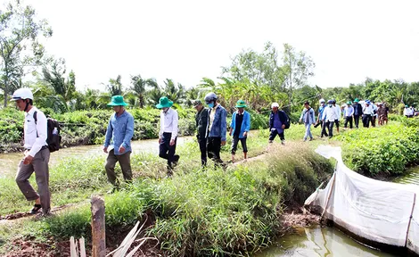 Quản lý chặt đất công