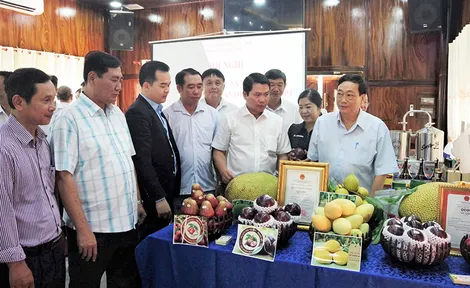 Chính quyền làm cầu nối cho nông sản vươn xa