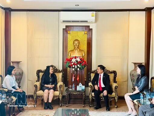 Vietnam Studies Centre taking shape at Thai university