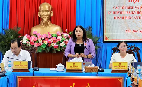 Ban Kinh tế - Ngân sách thẩm tra các báo cáo, tờ trình trình tại kỳ họp thứ 3 của HĐND TP Cần Thơ