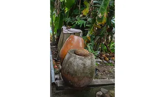 6 việc cần làm để phòng, chống bệnh sốt xuất huyết
