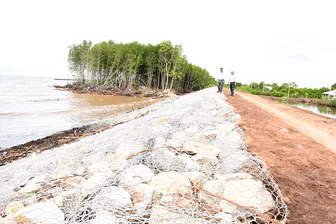 “Lá chắn” ven biển