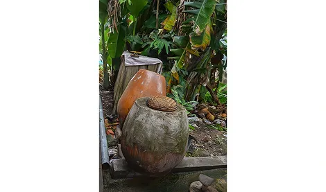 6 việc cần làm để phòng, chống bệnh sốt xuất huyết