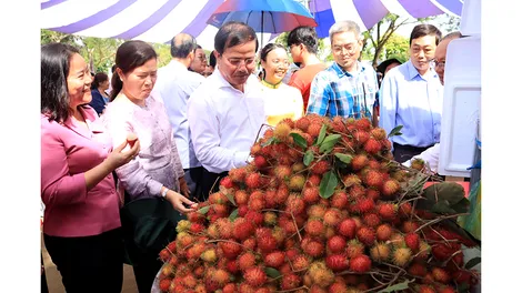 Về cồn Mỹ Phước vui hội sông nước miệt vườn