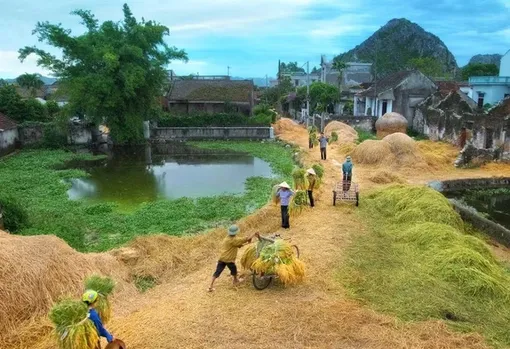 Bài cuối: Hãy nhớ câu “cáo chết ba năm…”