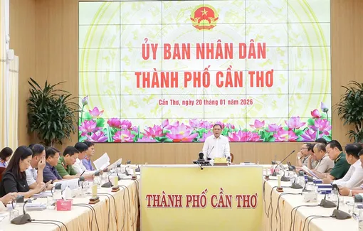 Siết chặt kỷ cương, quyết tâm thi hành dứt điểm các bản án