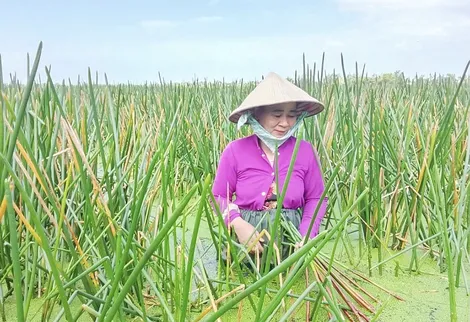Vươn lên từ ý chí và sự cần cù lao động