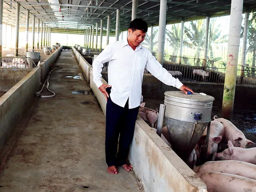 Chăn nuôi gia súc gia cầm duy trì phát triển tốt