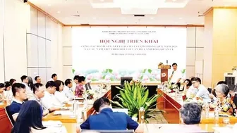 Đánh giá hiệu quả để sàng lọc thực chất