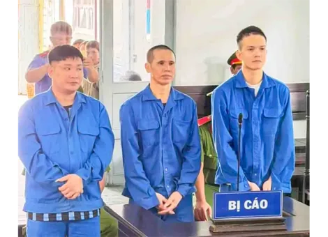 Mua bán, tổ chức sử dụng trái phép chất ma túy, 3 bị cáo lãnh án tù