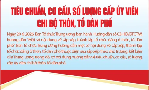 [INFOGRAPHICS] Tiêu chuẩn, cơ cấu, số lượng cấp ủy viên chi bộ thôn, tổ dân phố
