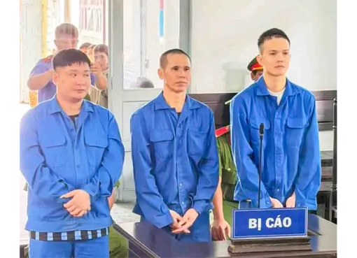 Mua bán, tổ chức sử dụng trái phép chất ma túy, 3 bị cáo lãnh án tù