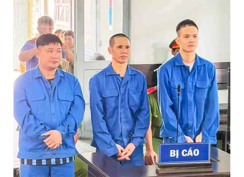 Mua bán, tổ chức sử dụng trái phép chất ma túy, 3 bị cáo lãnh án tù