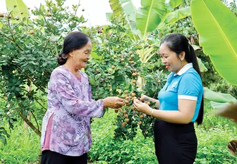 Nâng cao chất lượng giới thiệu việc làm, đào tạo nghề