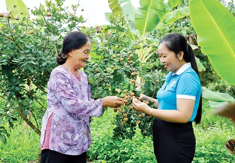 Nâng cao chất lượng giới thiệu việc làm, đào tạo nghề