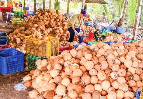 Dạo quanh thị trường ngày 24-6