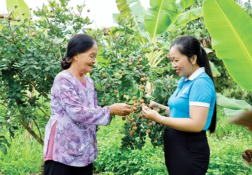 Nâng cao chất lượng giới thiệu việc làm, đào tạo nghề